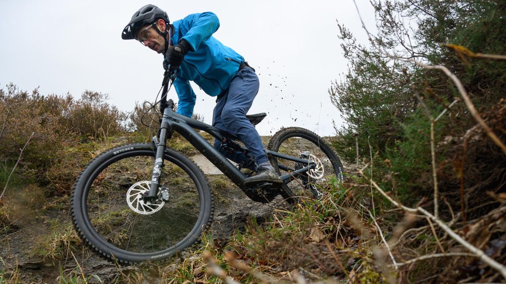 Electric Bikes